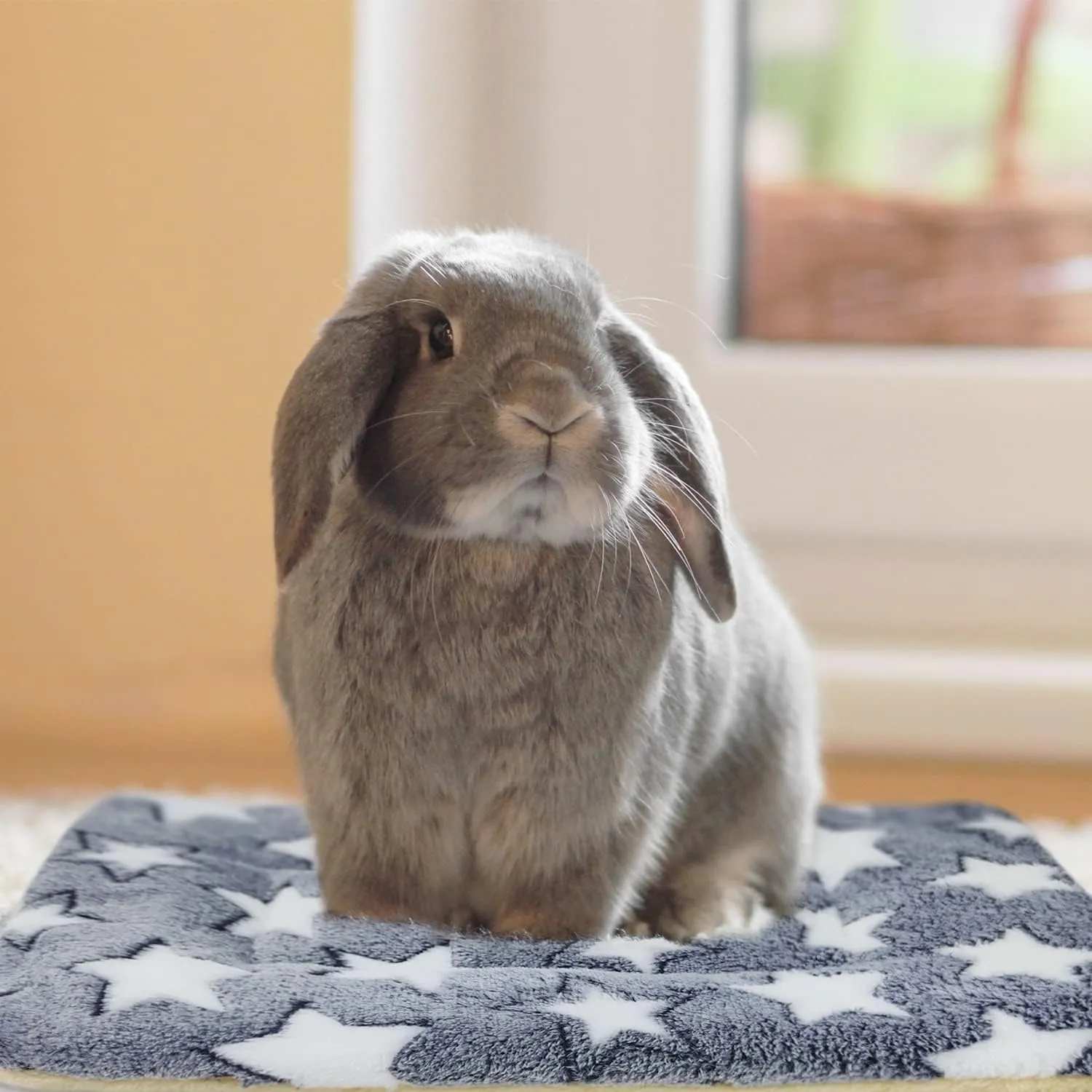 10PCS Guinea Pig Bed Soft Rabbit Bedding Cage Liner Warm Bunny Mats Pee Pads Fleece Blanket Plush Hamster Sleep Beds Ferret Squirrel Hedgehog Rat