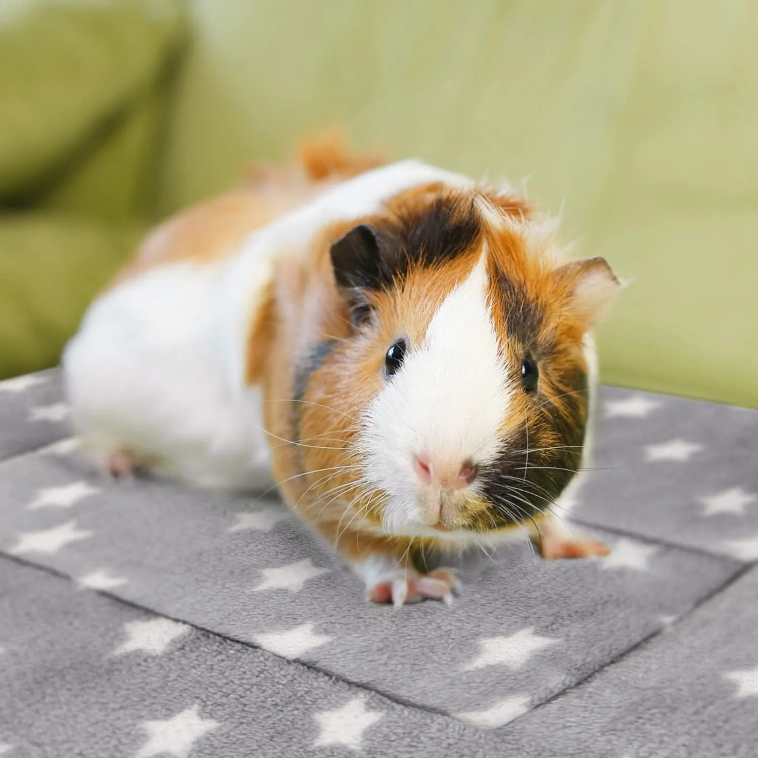 10PCS Guinea Pig Bed Soft Rabbit Bedding Cage Liner Warm Bunny Mats Pee Pads Fleece Blanket Plush Hamster Sleep Beds Ferret Squirrel Hedgehog Rat