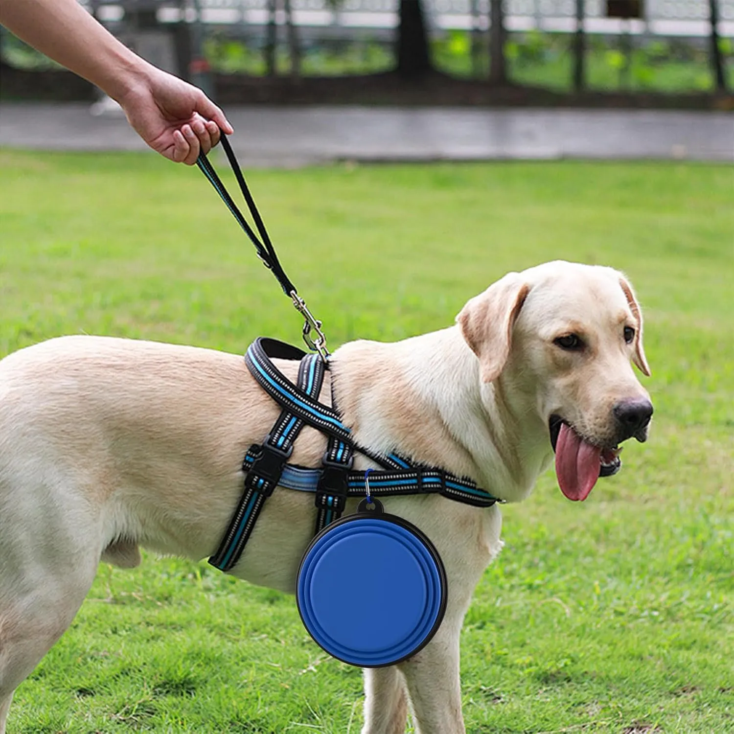 2 Pack Collapsible Dog Bowl Travel Portable Pet Bowls [34oz,1000ml],Expandable Foldable Food Water Feeding Dishes for Traveling Hiking Walking,with Carabiners [Black,Blue]