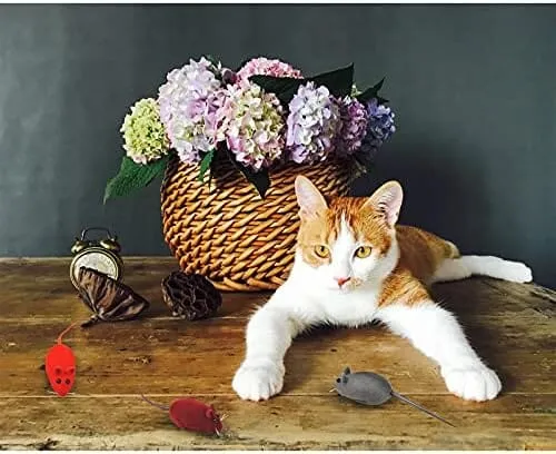 3 Random Colors Soft Small Cat Toys for Indoor Cats