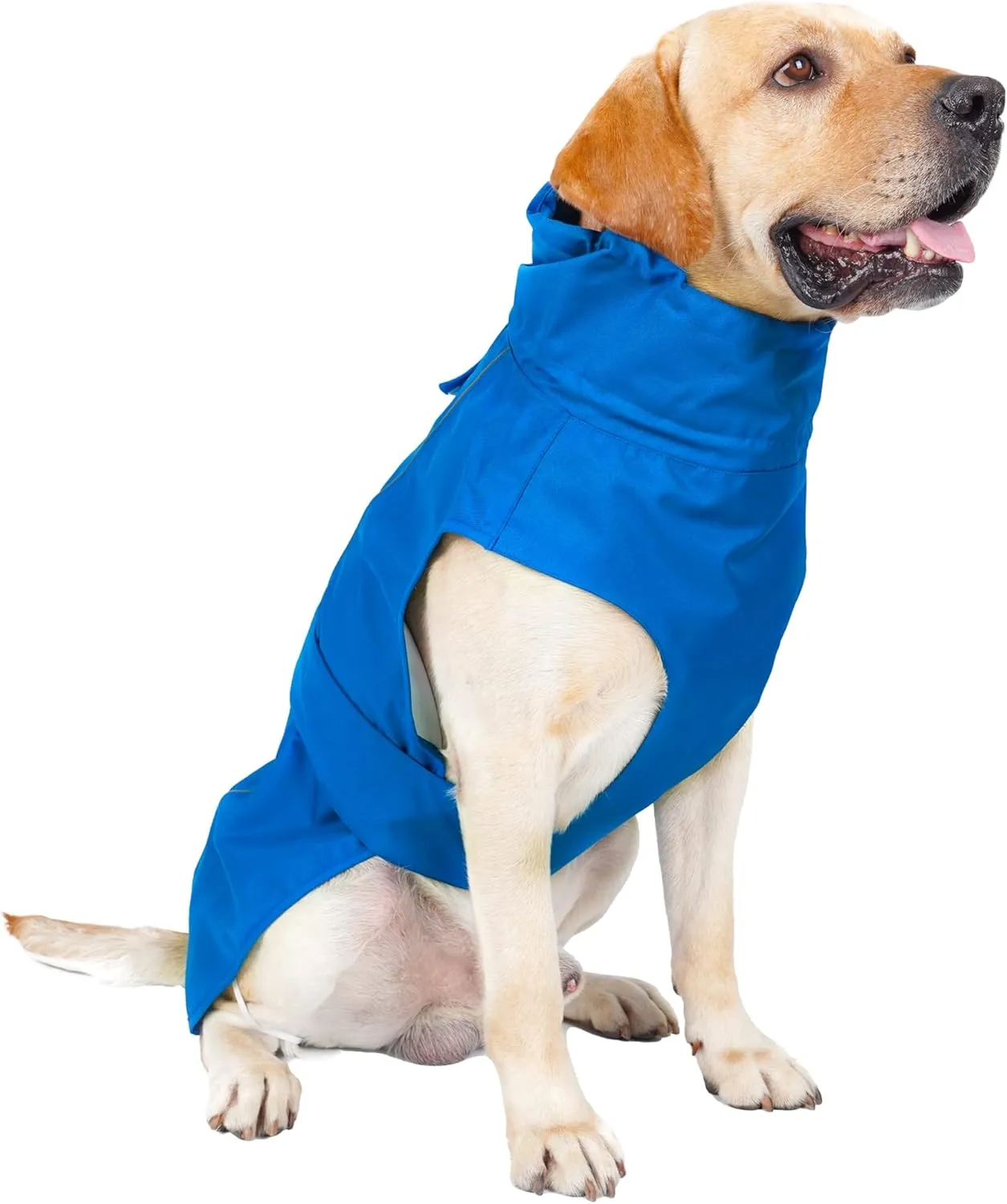 Adjustable Waterproof Dog Raincoat for Dogs,Lightweight Pet Rain Jacket Puppy Clothes with Reflective Strip for Small Medium Large Dogs (Blue, X-Small)