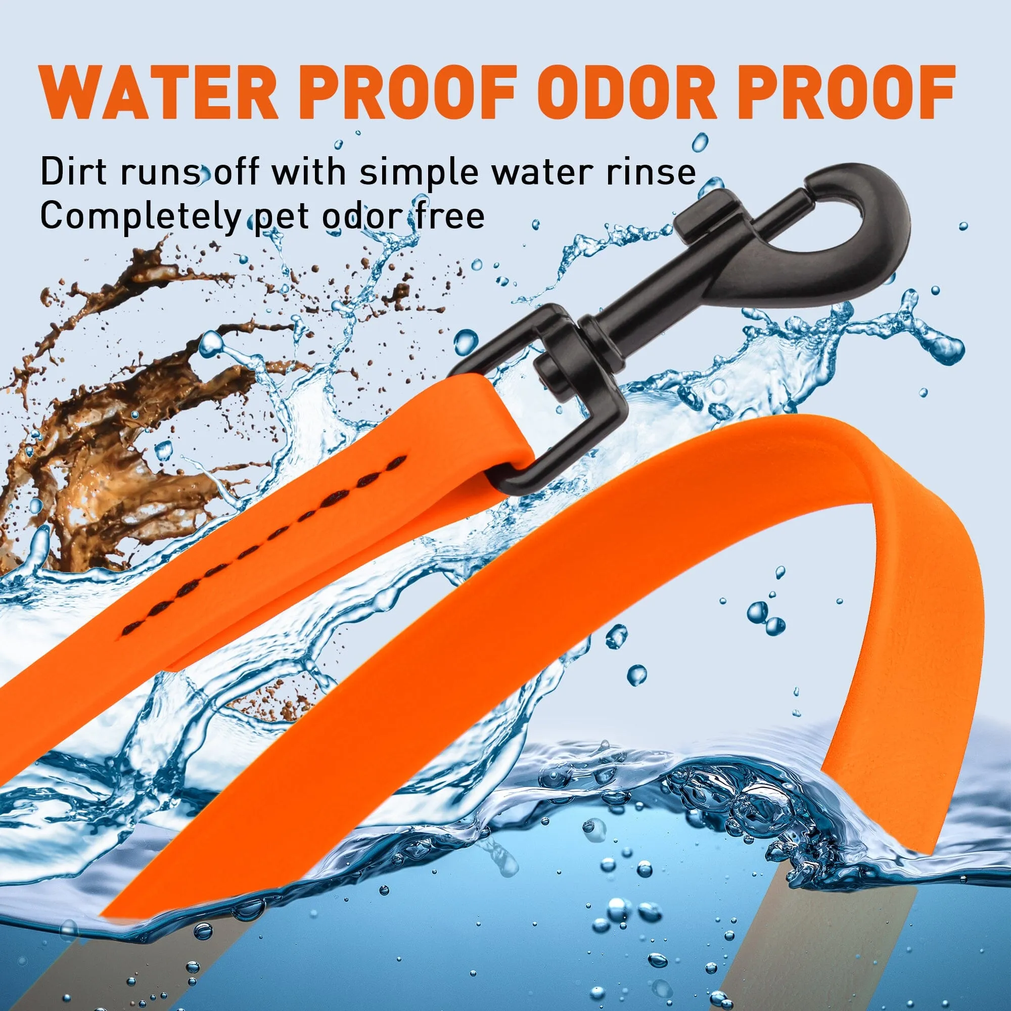 Biothane Waterproof Leash 6 ft