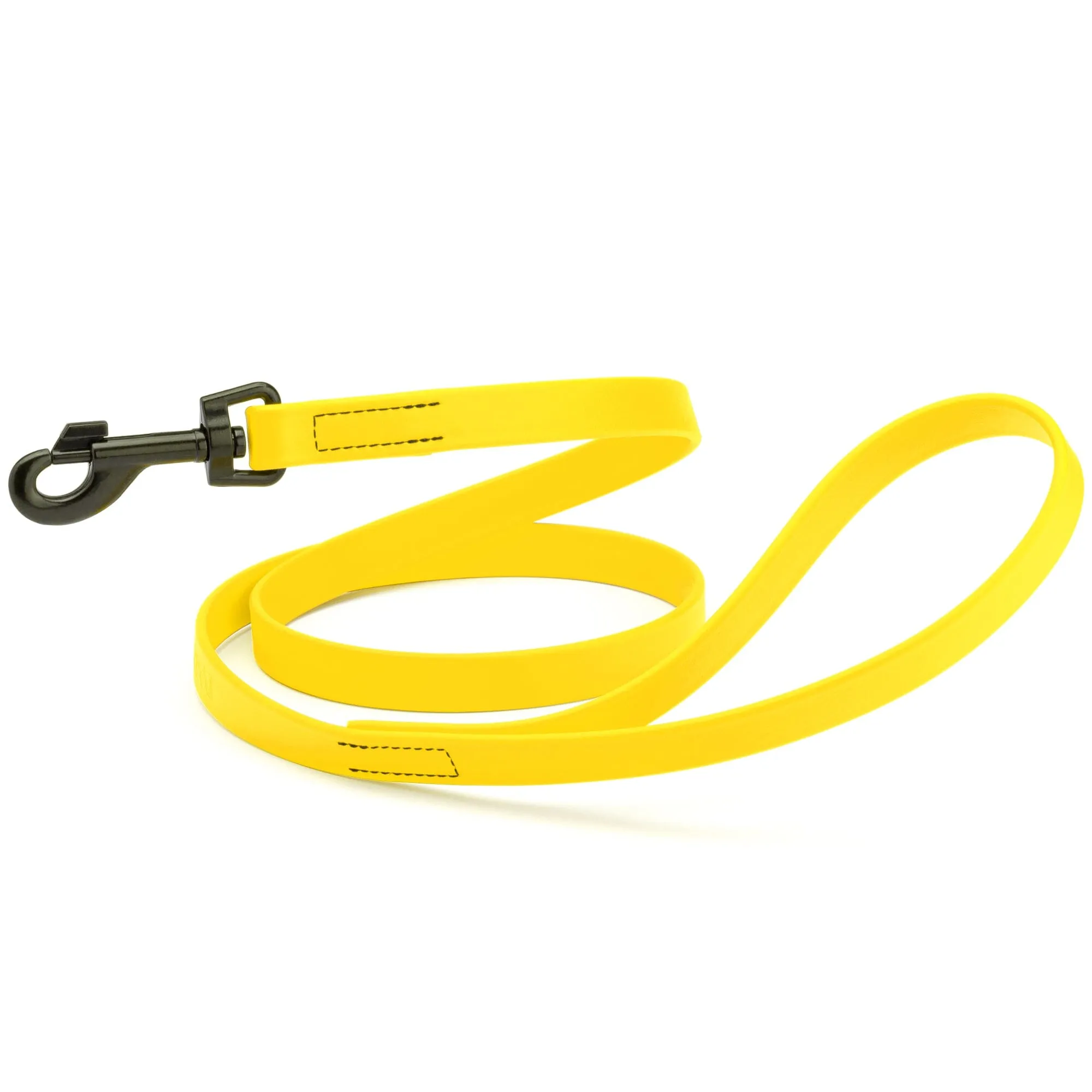 Biothane Waterproof Leash 6 ft