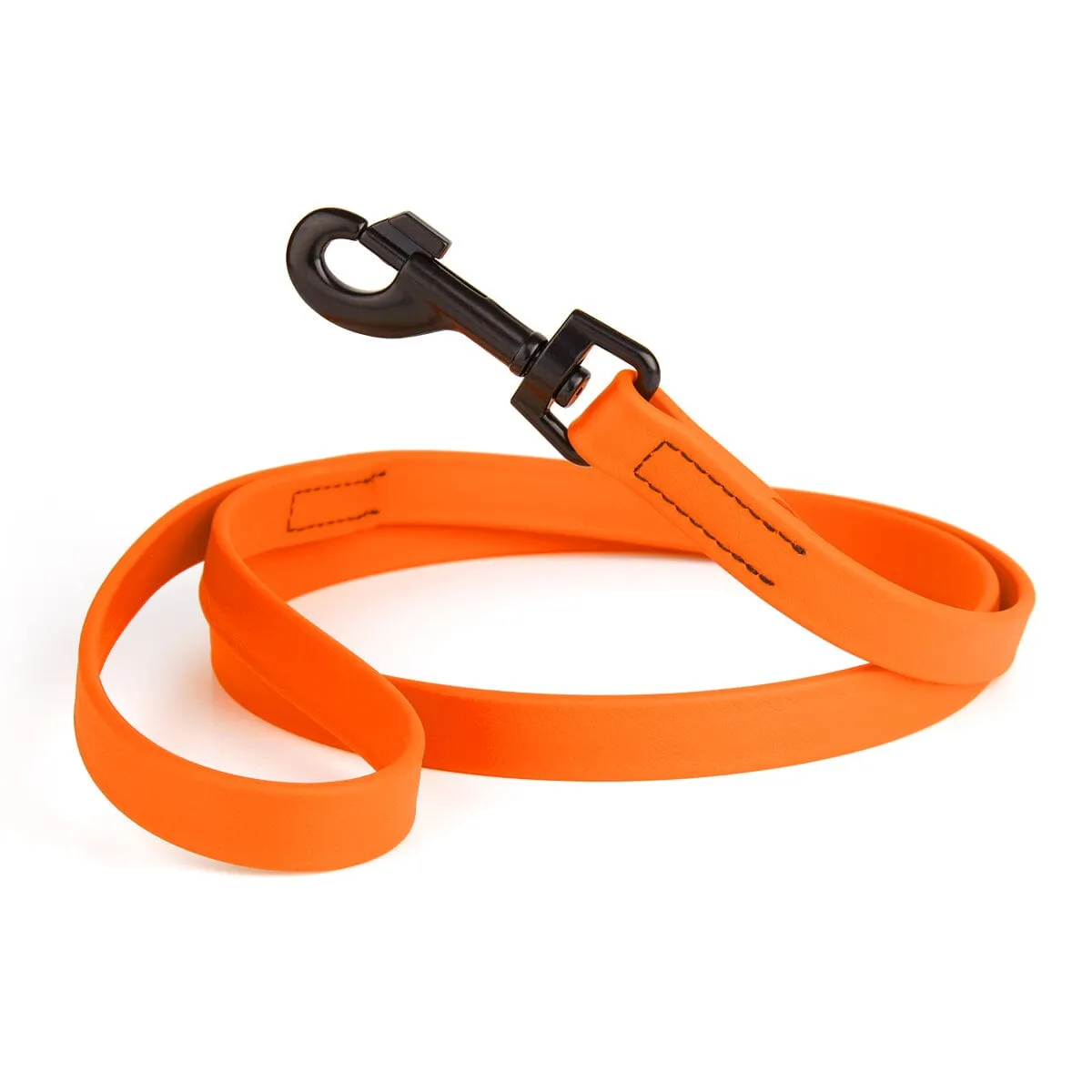 Biothane Waterproof Leash 6 ft