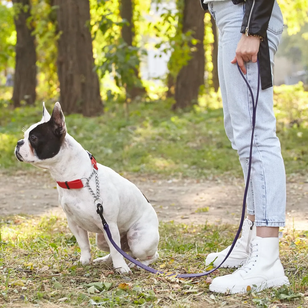 Biothane Waterproof Leash 6 ft