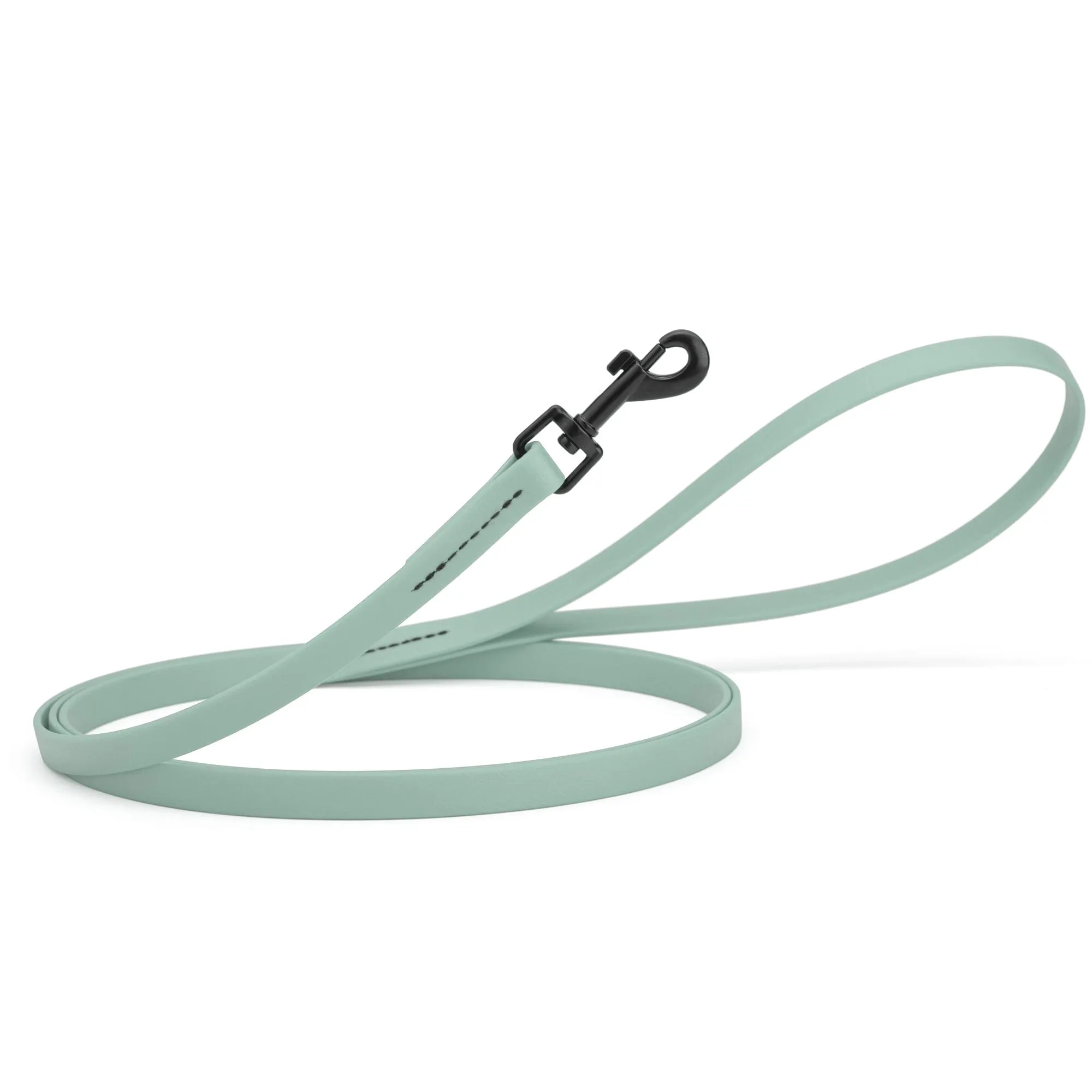 Biothane Waterproof Leash 6 ft