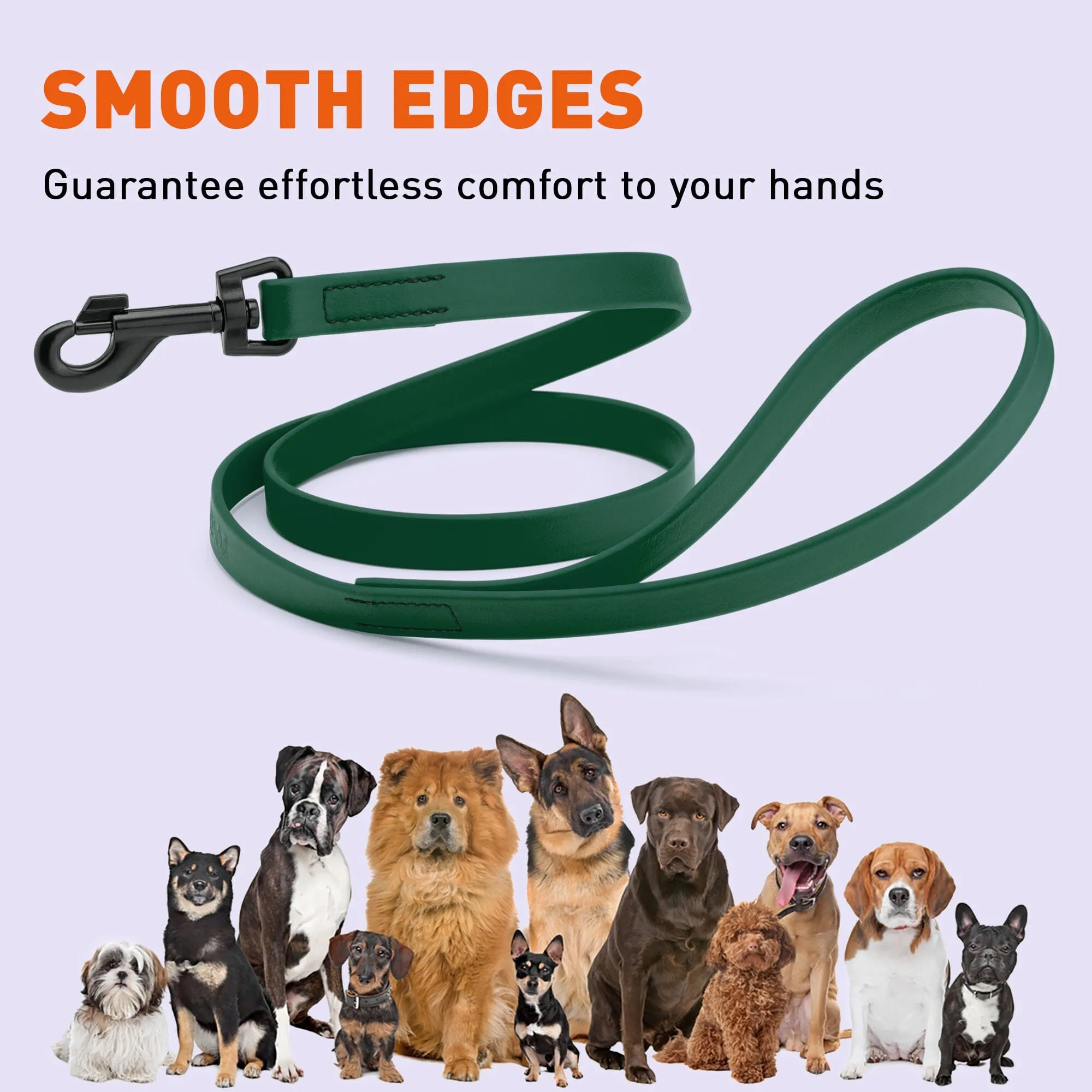 Biothane Waterproof Leash 6 ft