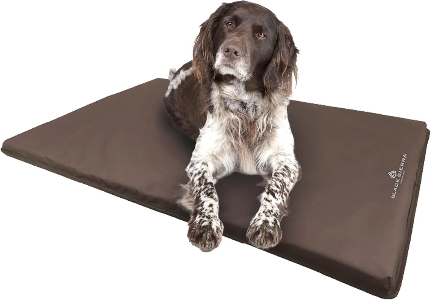 Black Sierra Extra Large Dog Kennel Pad, 1 Inch Thick Padding Measures 32" x 22", Water Resistant Crate Cushion for Hunting or Travel, Durable and Slip Resistant Pet Bedding Mat