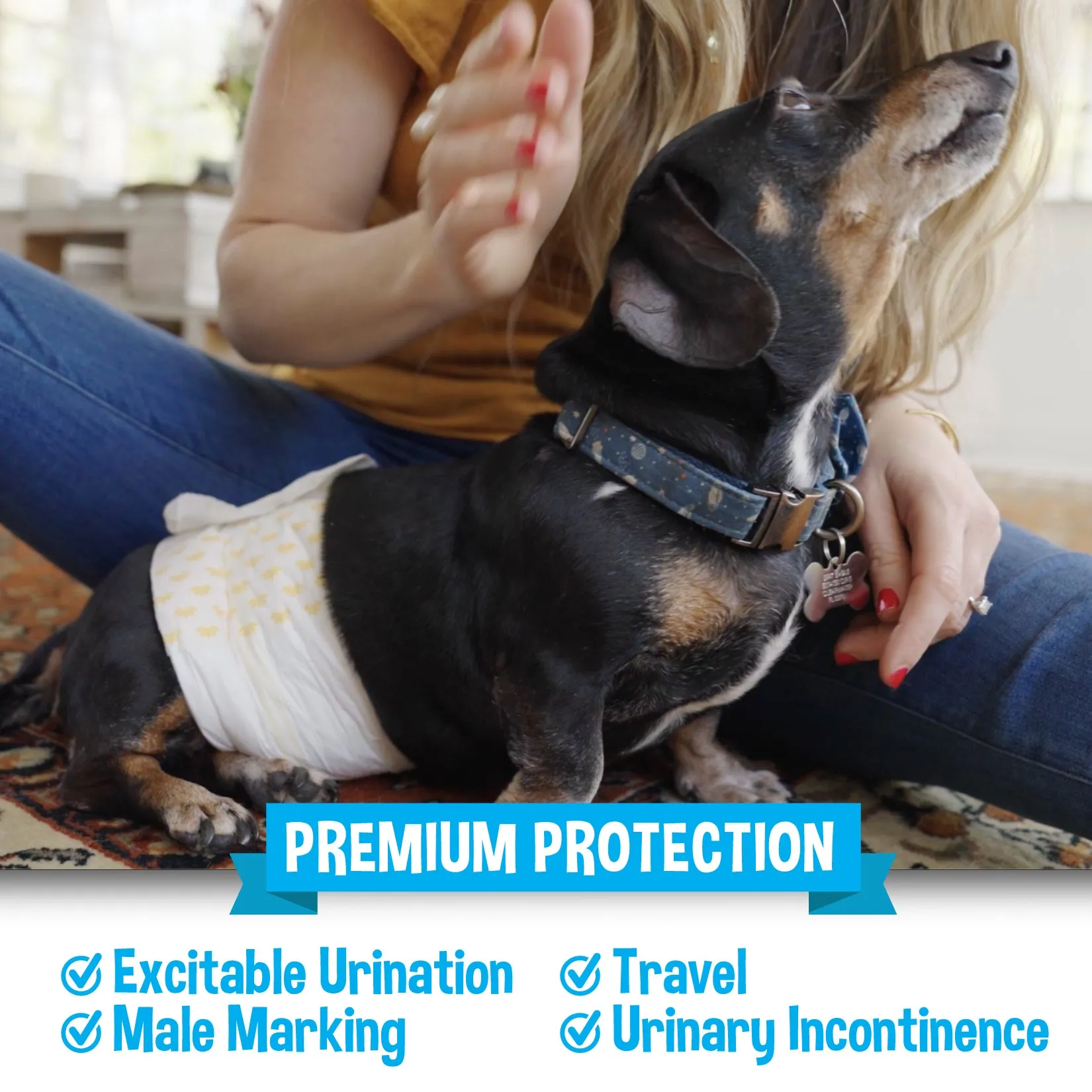Bodhi Dog Disposable Male Dog Diapers | Super Absorbent Leak-Proof Fit | Premium Adjustable Male Dog Pee Wraps with Moisture Control & Wetness Indicator | Extra Small – Extra Large