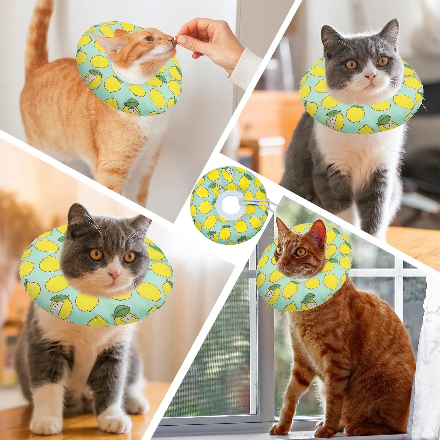 Cat Cone Collar Soft, Adjustable Cat Recovery Collars to Prevent Licking, Cute Donut E Collar After Surgery, Wound Healing Elizabethan Collar for Kittens(Green Lemon, Large)