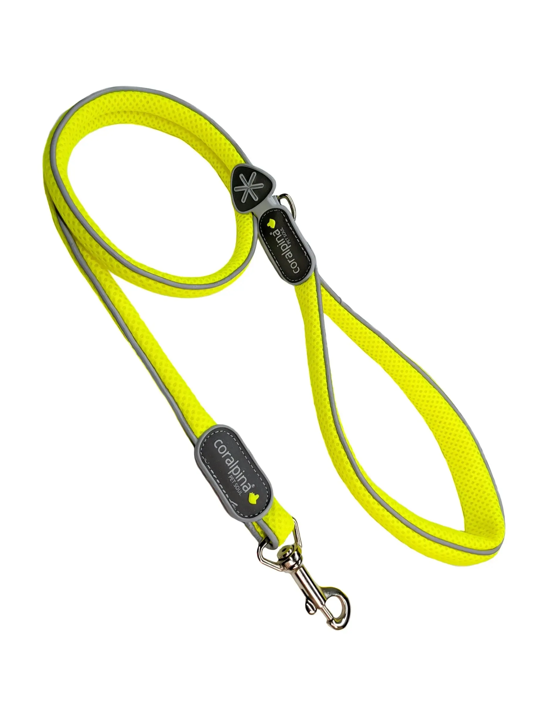 Coralpina dog lead Pet Soul Reflective Mesh Matching Leash