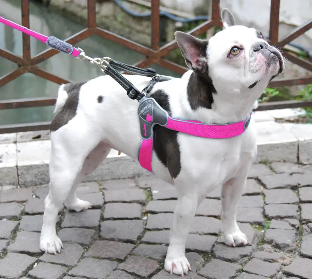 Coralpina dog lead Pet Soul Reflective Mesh Matching Leash
