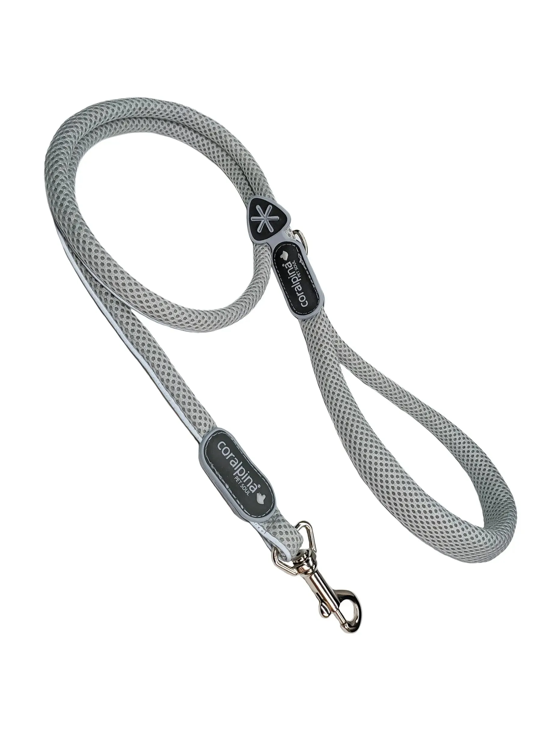 Coralpina dog lead Pet Soul Reflective Mesh Matching Leash