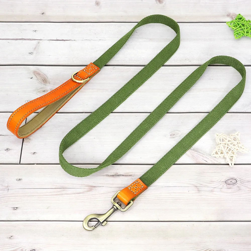Custom Dog Collar Leash Set
