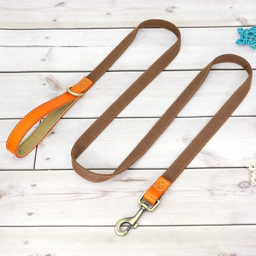 Custom Dog Collar Leash Set