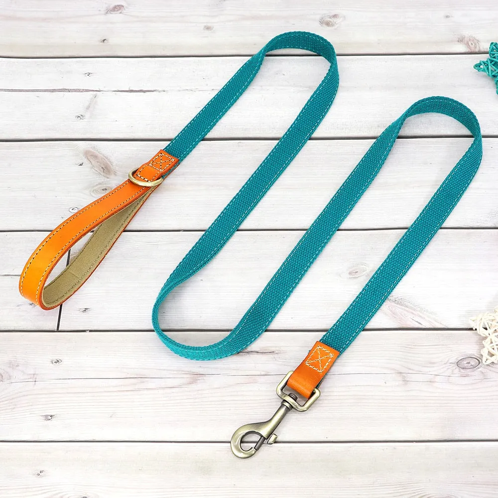 Custom Dog Collar Leash Set