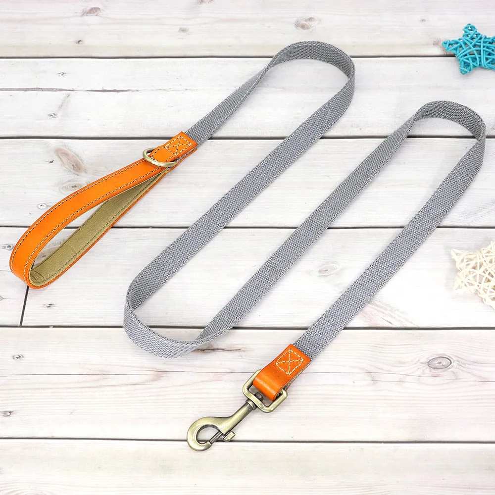 Custom Dog Collar Leash Set