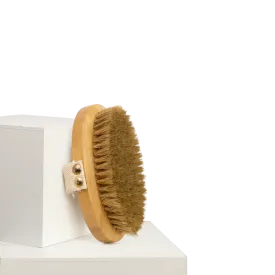 Dan & Sam - Bamboo Palm Held Brush
