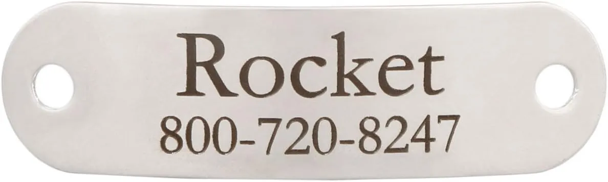 DogIDs Custom Personalized Stainless Steel Rivet-On Dog Collar Nameplates Noiseless Suitable for Dogs ID Tag with Name and Number for 5/8 Inch Wide Engraved Collars