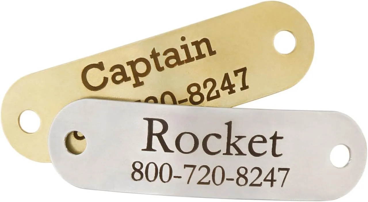 DogIDs Custom Personalized Stainless Steel Rivet-On Dog Collar Nameplates Noiseless Suitable for Dogs ID Tag with Name and Number for 5/8 Inch Wide Engraved Collars