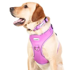 Doodlebone Adjustable Airmesh Dog Harness - Orchid