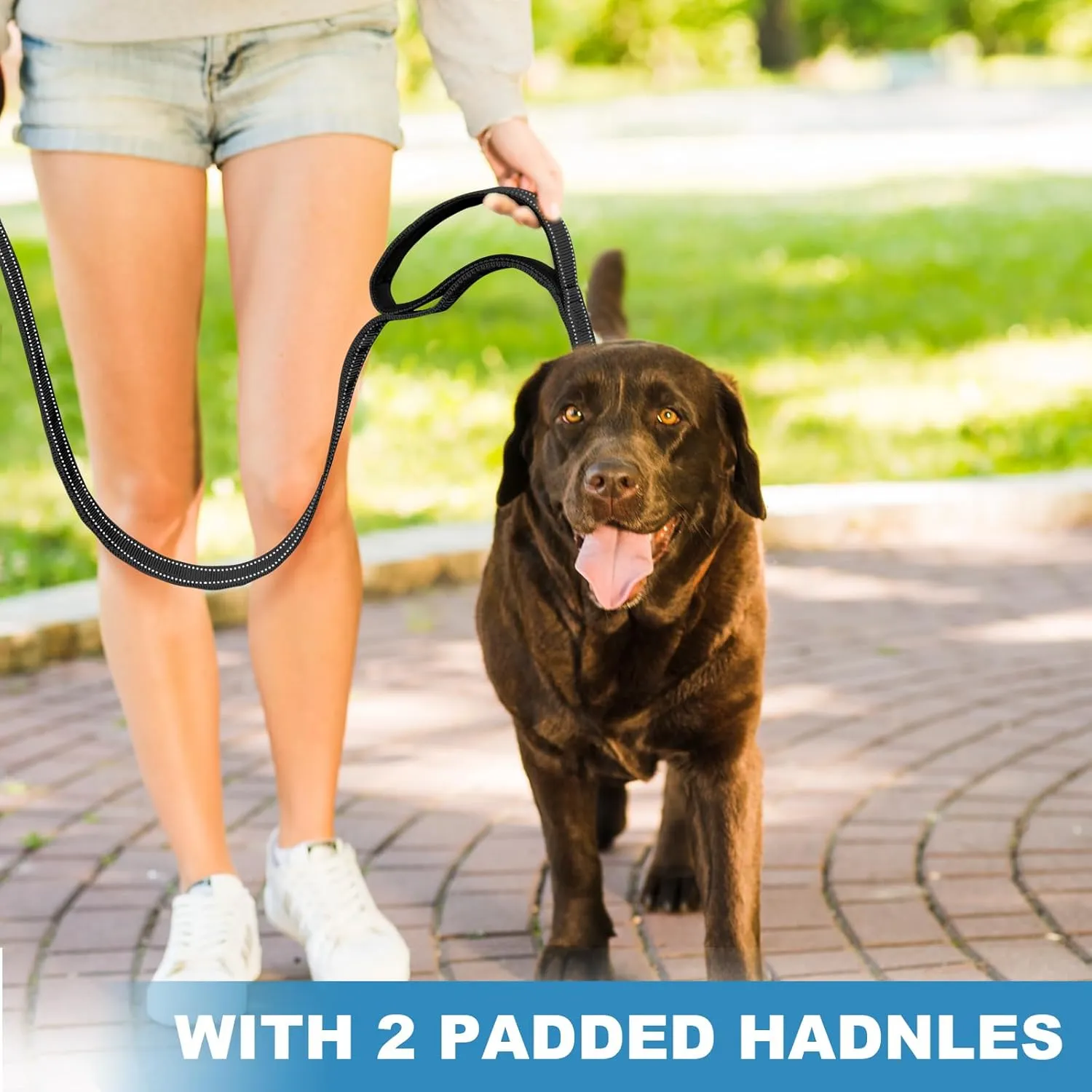 Double-Sided Reflective Dog Leash, 5 FT Padded Handle Nylon Dogs Leashes for Medium & Large Dogs Walking, Reinforced Reflective Buckle Dog Collar, Black, Large