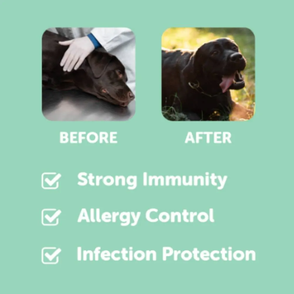 Dr. Shiba Dog Treats Supplement Pro Immune Beef 250g