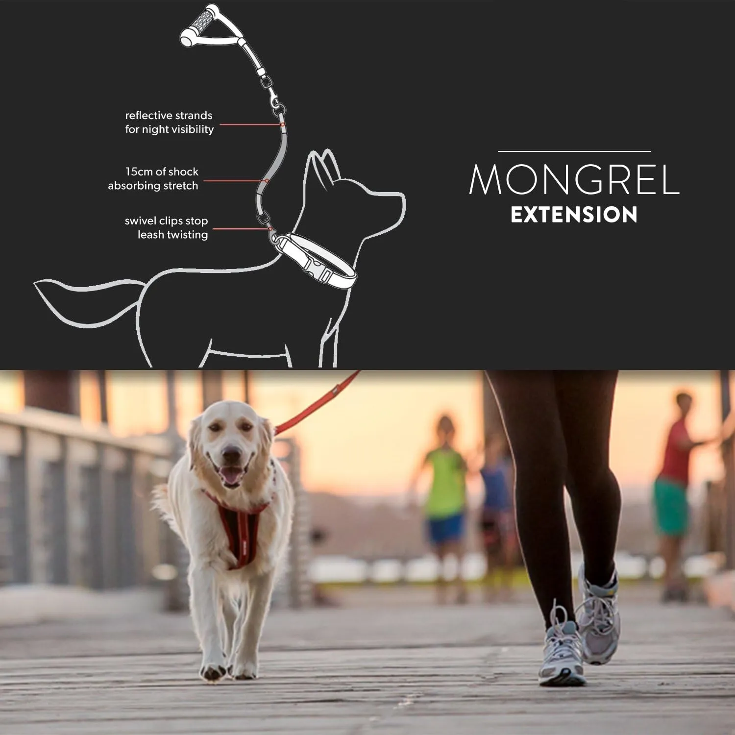 EzyDog Mongrel Bungee Dog Leash Rope Extension - 24 Inch Shock-Aborbing Leash - Works with The Mongrel Leash (Sold Separately) - Use Two for a Tangle-Free Double Dog Leash (Black)