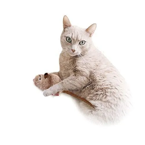 Gigwi Chirpy Cat Mouse Toy Squeak- Cat Toys Interactive Squeaking Mouse Cat Toy Melody Chaser Play N Squeak Kitten Toy, Mouse Sound Cat Toy for Boredom