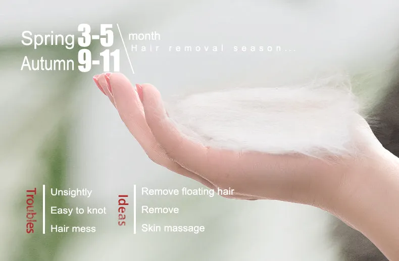 Hair Massage Comb