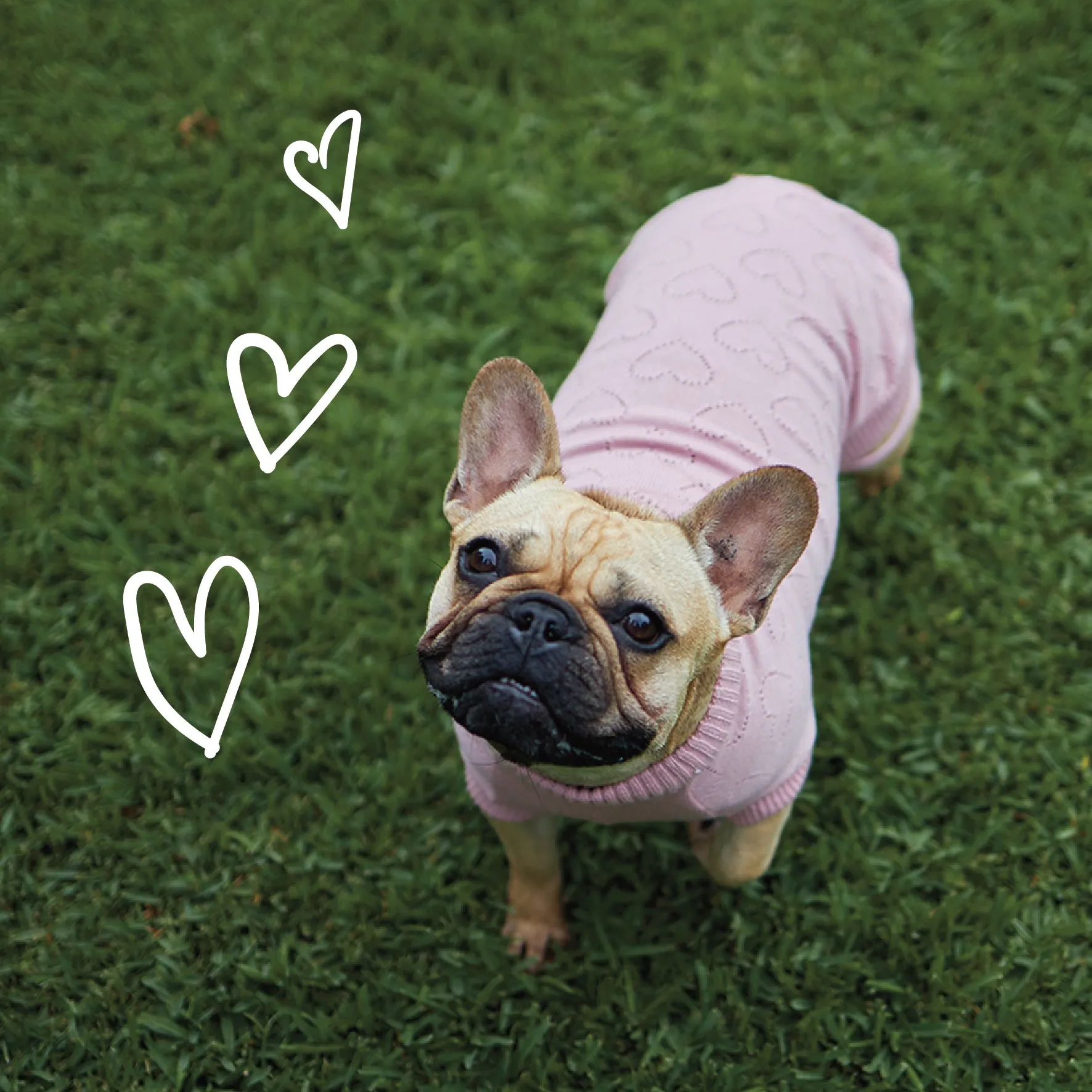 Heart Knit Dog Jumper - Pink