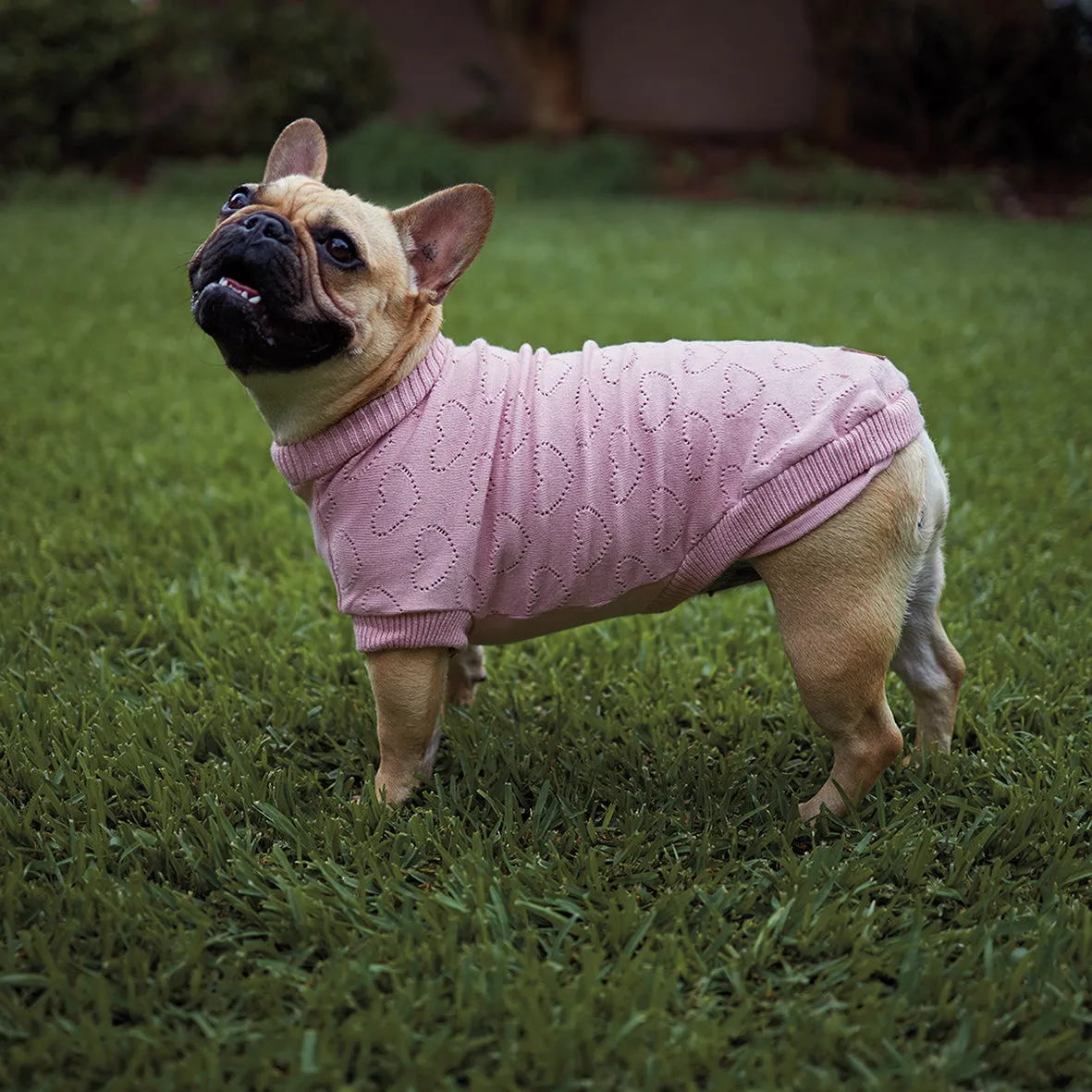 Heart Knit Dog Jumper - Pink