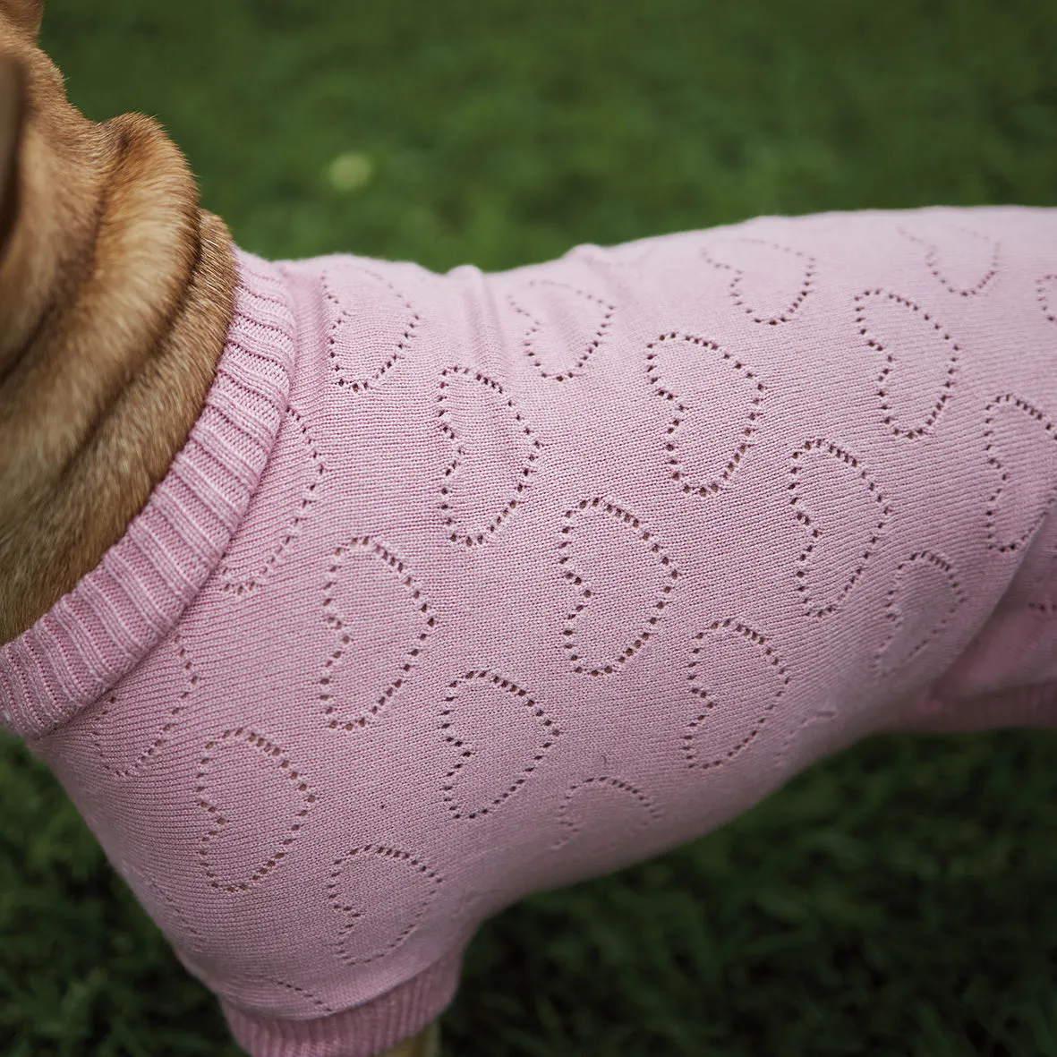 Heart Knit Dog Jumper - Pink