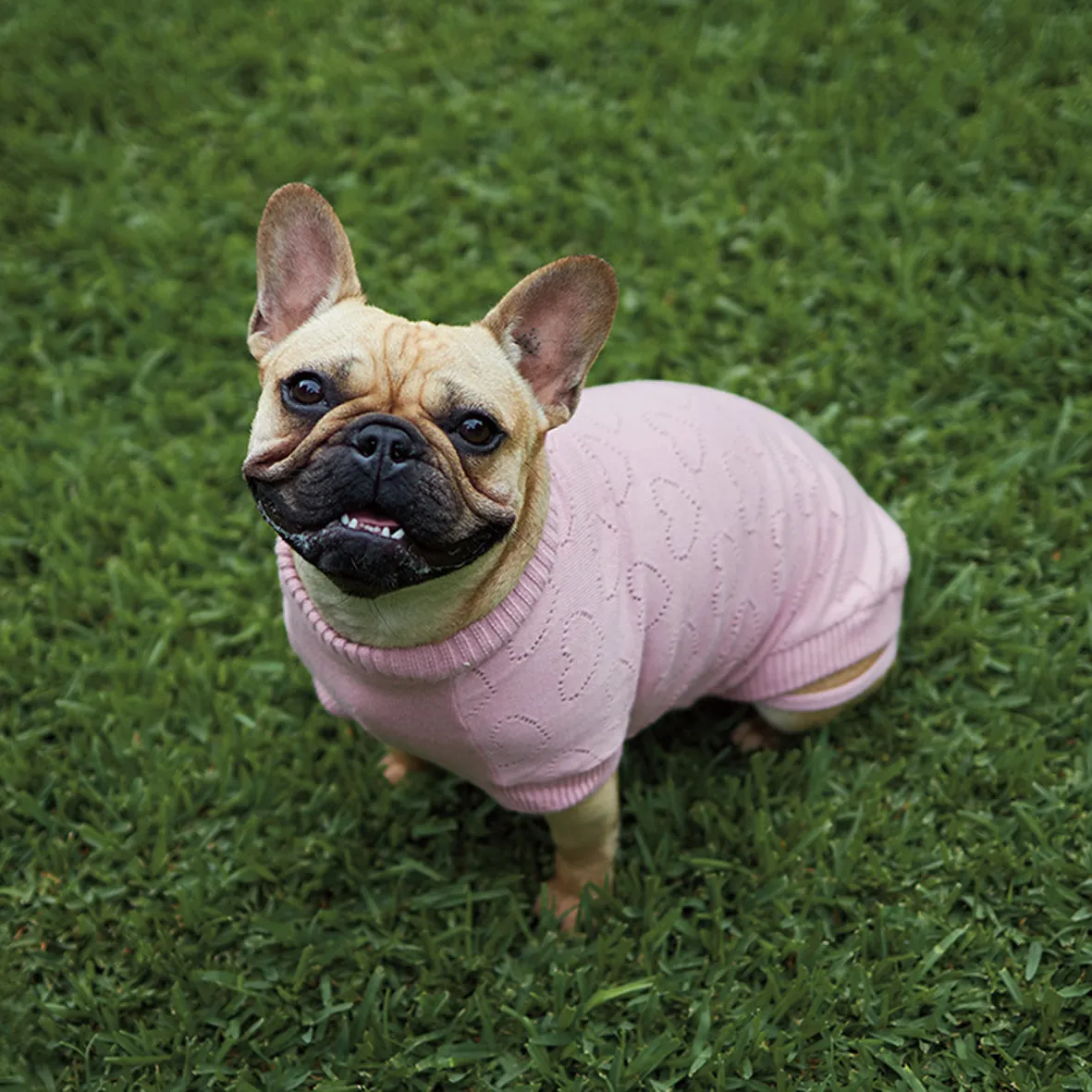 Heart Knit Dog Jumper - Pink