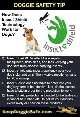 Insect Shield Dog Bandana With Anti-Insect Repellent