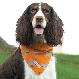 Insect Shield Dog Bandana With Anti-Insect Repellent