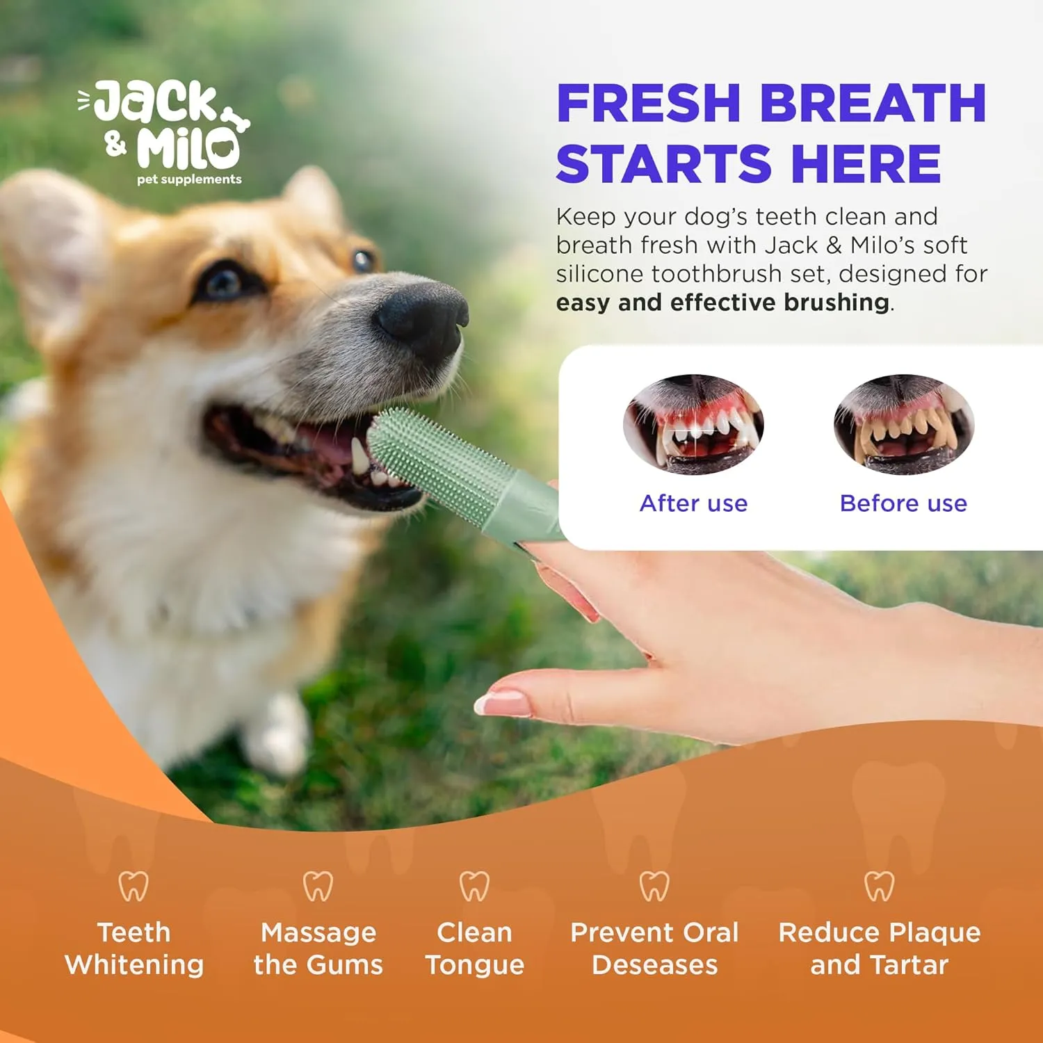 Jack & Milo Soft Silicone Finger Toothbrush for Dogs  Gentle & Effective Oral Care for Small Dogs, Puppies & Cats  Long-Lasting & Easy to Use  Blue  Ideal for Baby Pets