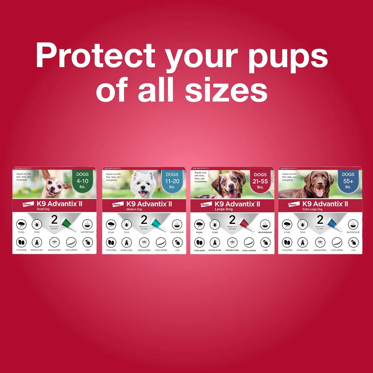 K9 Advantix II Small Dog Vet-Recommended Flea, Tick & Mosquito Treatment & Prevention | Dogs 4-10 lbs. | 1-Mo Supply