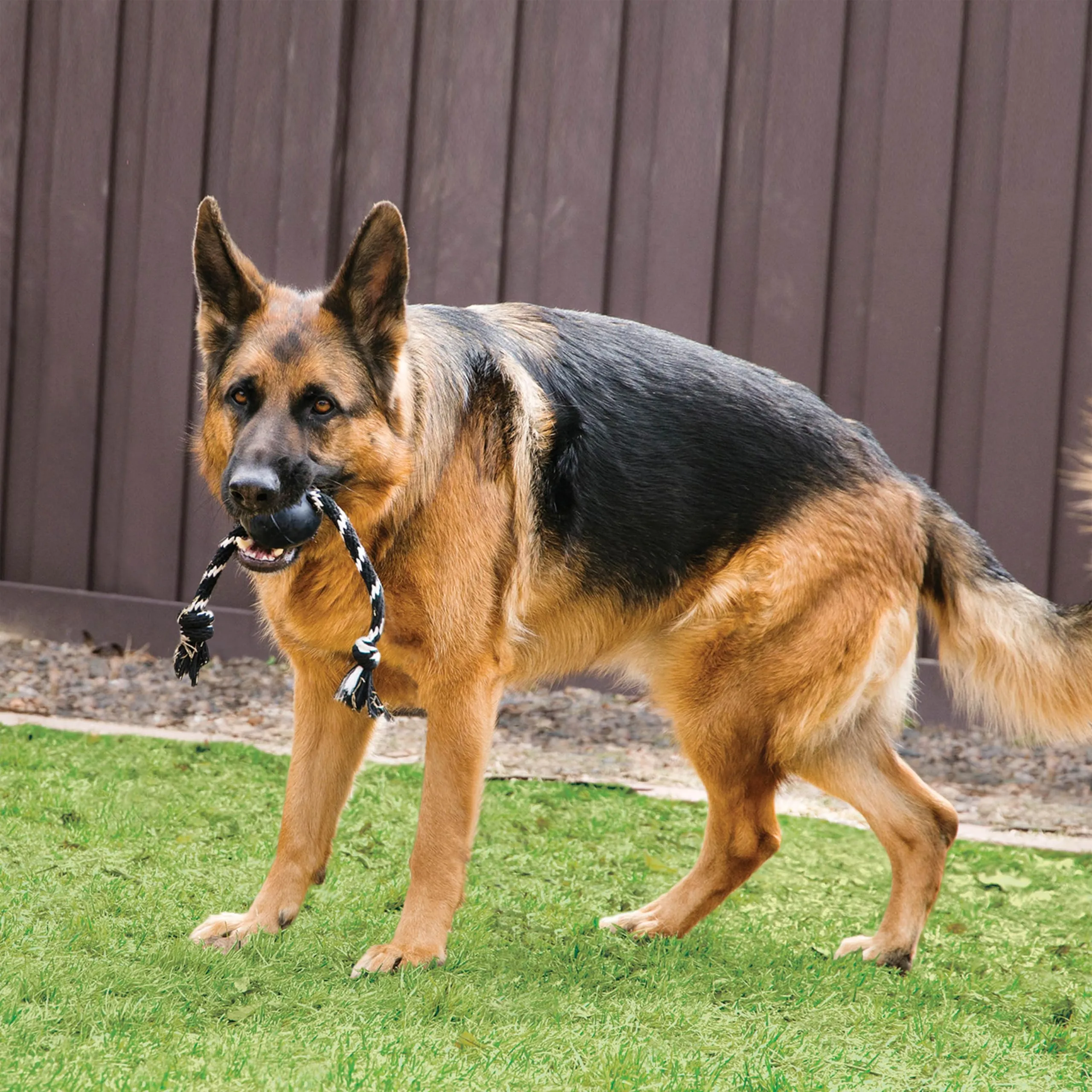 Kong Dog Extreme Ball With Rope
