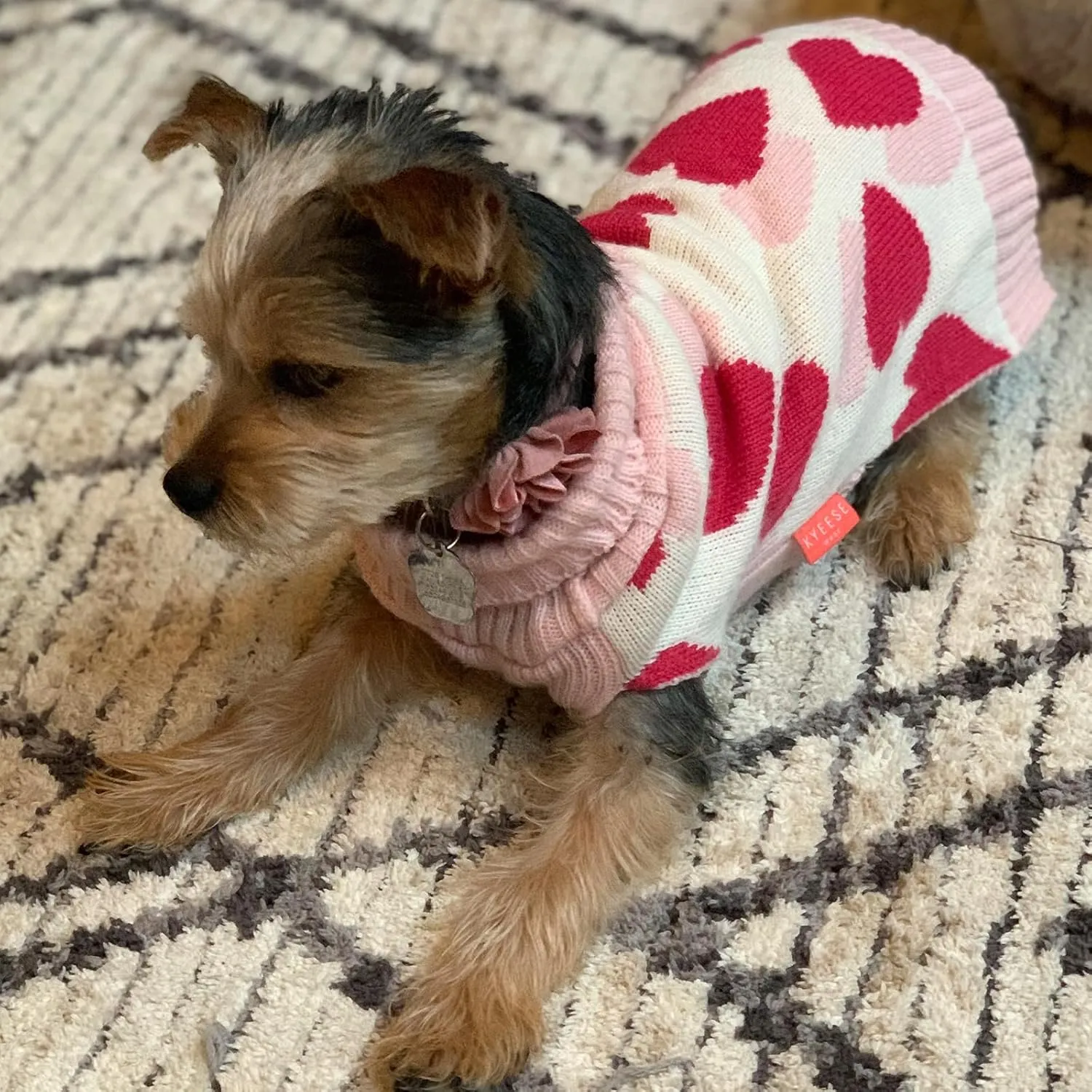 KYEESE Dogs Sweaters Small Dog Sweaters Red Heartwith Leash Hole Pet Sweater Pet Clothes,M