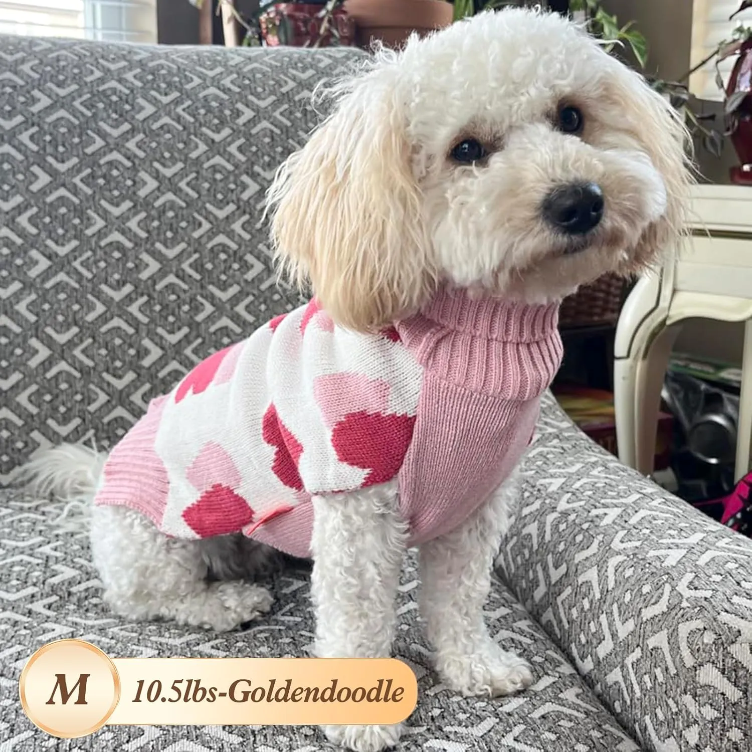 KYEESE Dogs Sweaters Small Dog Sweaters Red Heartwith Leash Hole Pet Sweater Pet Clothes,M