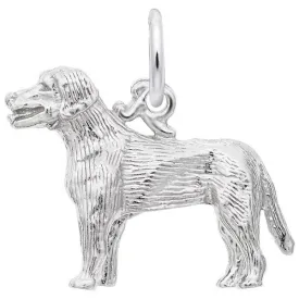 Labrador Retriever Dog Charm