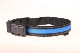 LED Dog Collar Light Rechargeable Color Changing, Glow in The Dark Dog Collars Waterproof Glowing Dog Collars for Large Small Medium Dogs (Small, Blue)