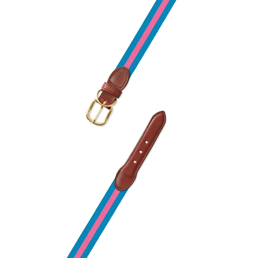 Light Blue & Pink Surcingle Dog Collar