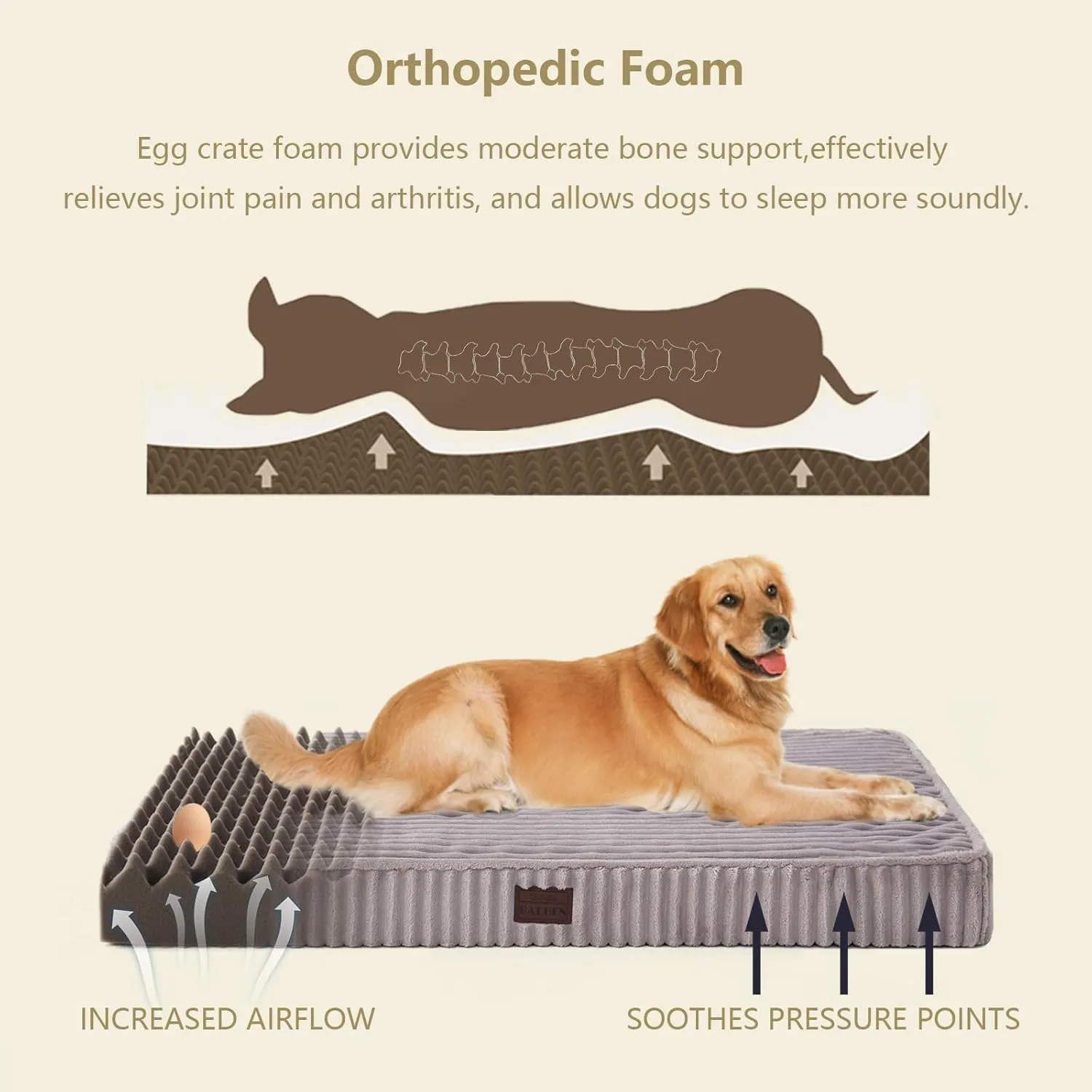 Orthopedic Dog Beds for Large, Medium, Small Dogs - Plush Washable with Egg Crate Foam, Waterproof with Removable Cover & Anti-Slip Bottom, Comfy Striped Dog Bed for Crate, 36x23 Inch, Gray