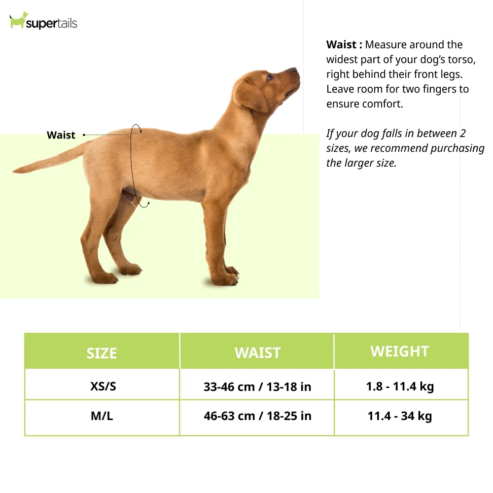 OUT! Disposable Female Diapers for Dogs (46x63cm)
