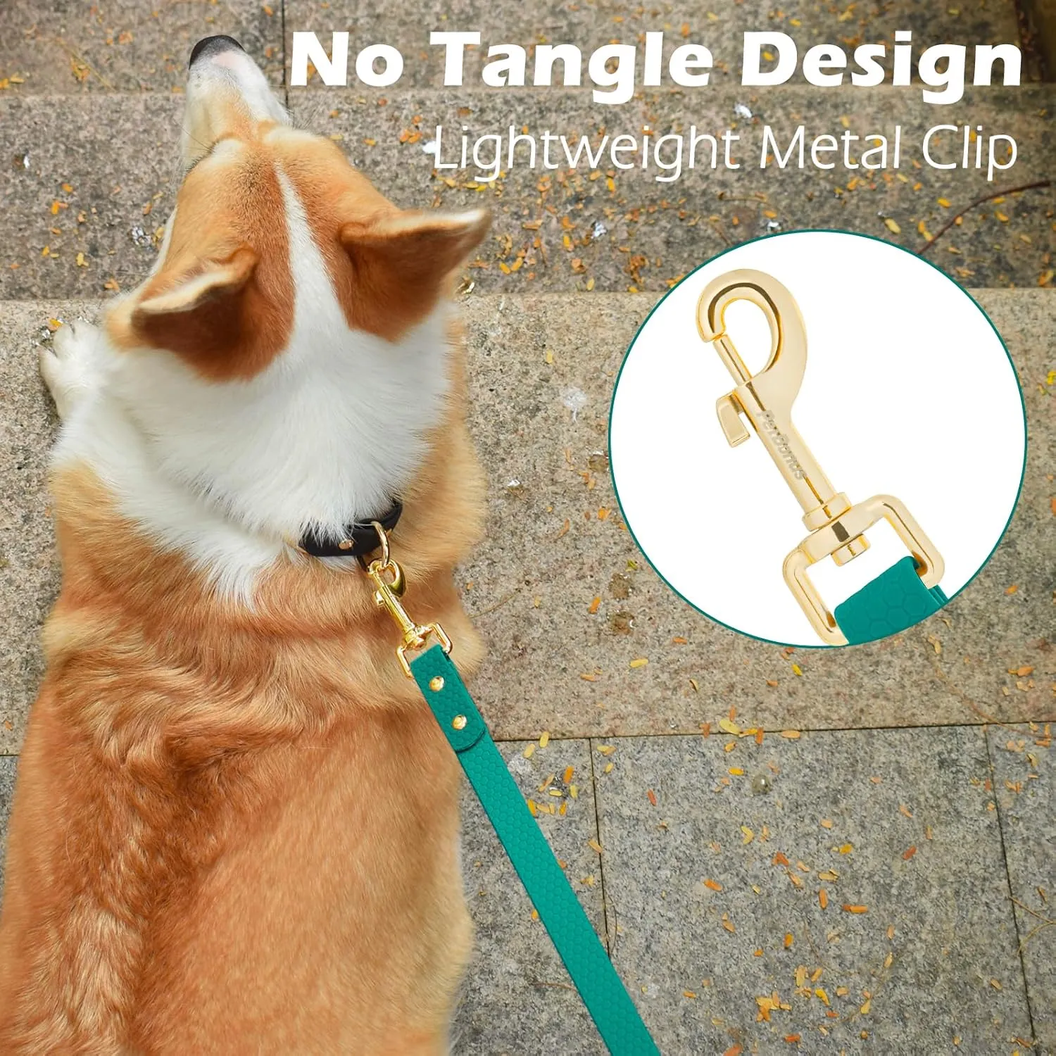 PetBonus No Tangle Waterproof Dog Leash, 5 FT Odor Proof Walking Training Lead, Non-Slip and Easy to Clean Puppy leashes for Small Medium Breeds Dogs (Turquoise, S