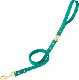 PetBonus No Tangle Waterproof Dog Leash, 5 FT Odor Proof Walking Training Lead, Non-Slip and Easy to Clean Puppy leashes for Small Medium Breeds Dogs (Turquoise, S