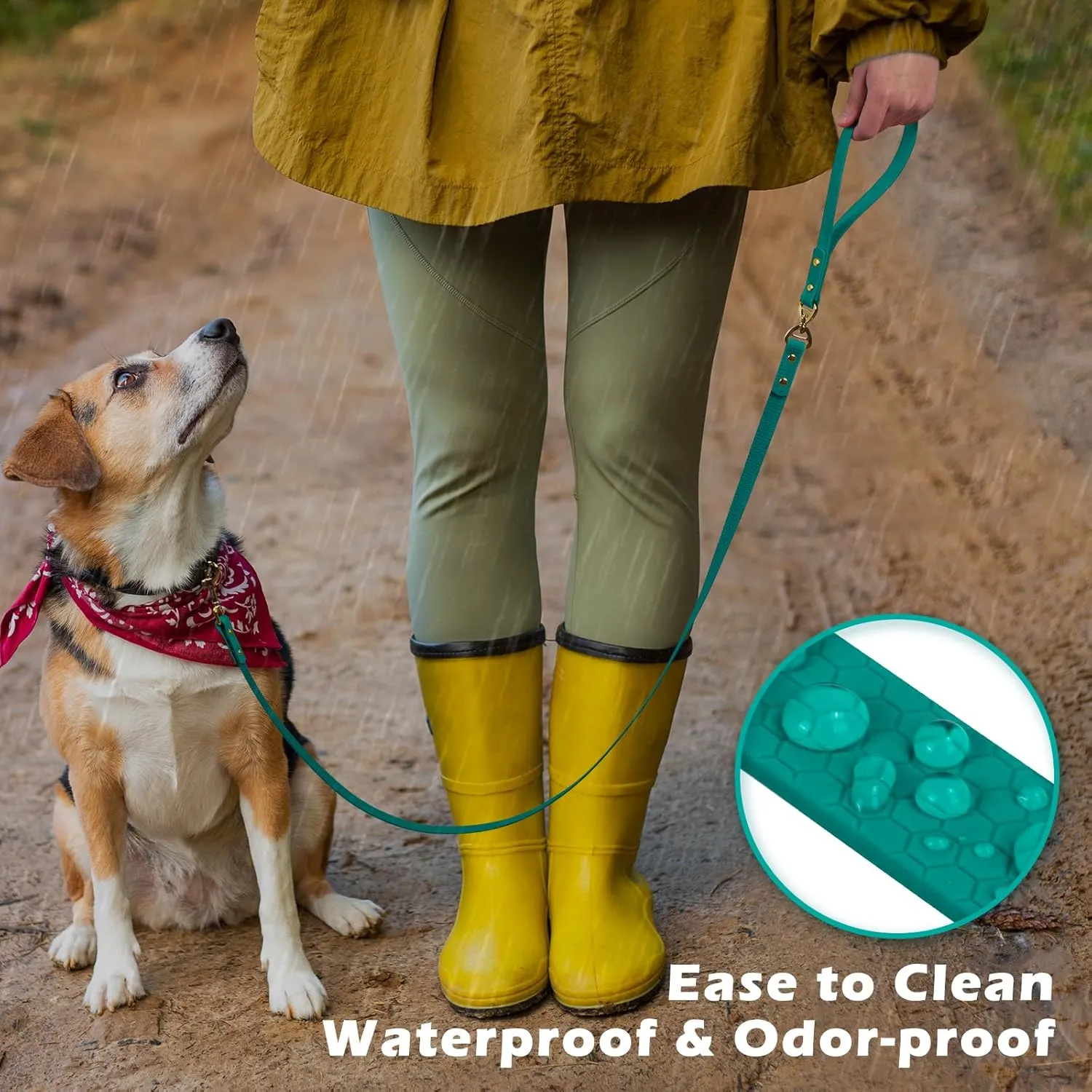PetBonus No Tangle Waterproof Dog Leash, 5 FT Odor Proof Walking Training Lead, Non-Slip and Easy to Clean Puppy leashes for Small Medium Breeds Dogs (Turquoise, S