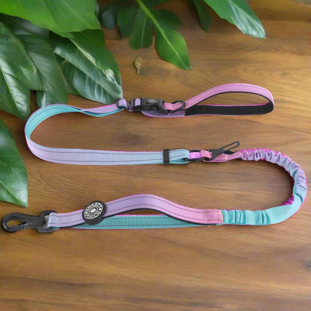 Safety, Style and Control in one lead. The 6 in 1 Reflective Lead With No Pull Technology.